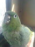 BABY - 31/03/2012